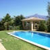 Nueva Andalucia property:  Villa in Malaga 275487