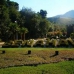 Benahavis property: Malaga, Spain Land 275571
