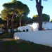 Benamara property:  Land in Malaga 275633