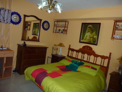 Nueva Andalucia property: Malaga Villa 275668