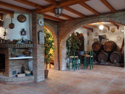 Nueva Andalucia property: Nueva Andalucia Villa 275678