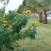 La Cala De Mijas property: La Cala De Mijas Land, Spain 275729