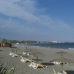 El Paraiso property: El Paraiso, Spain Commercial 275781