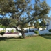 El Paraiso property: Villa in El Paraiso 275918