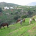 Mijas property: Finca for sale in Mijas 276092