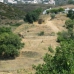 Mijas property: bedroom Finca in Malaga 276092