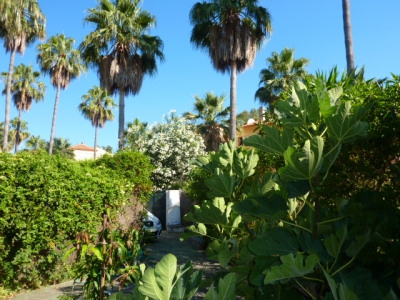 Artola Alta Y Baja property: Villa for sale in Artola Alta Y Baja, Spain 276095