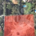 Marbella property: Malaga, Spain Land 276577