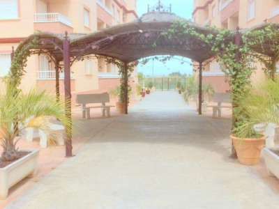 Algorfa property: Apartment for sale in Algorfa 276715