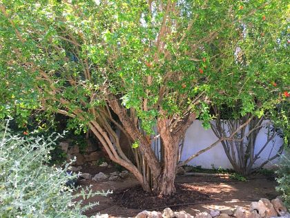 Javea&nbsp;property:&nbsp;Javea&nbsp;Villa&nbsp;276771