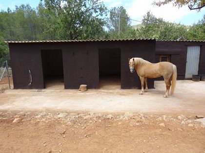 Lliber&nbsp;property:&nbsp;Villa&nbsp;for&nbsp;sale&nbsp;in&nbsp;Lliber,&nbsp;Alicante&nbsp;276885