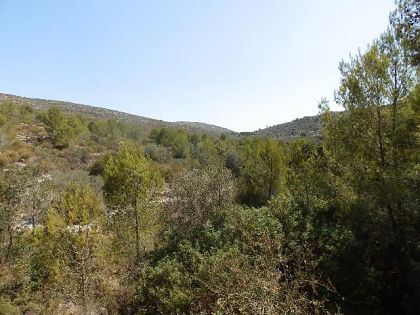 Alcalali property: Villa with 3 bedroom in Alcalali 276892