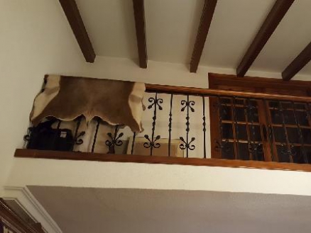 Villa with 4 bedroom in town, Spain 277066