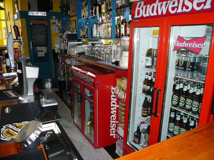 Nerja property: Commercial in Malaga for sale 277150