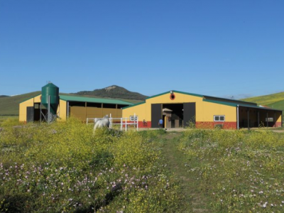 Alcala De Los Gazules property: Farmhouse with 4 bedroom in Alcala De Los Gazules 277307
