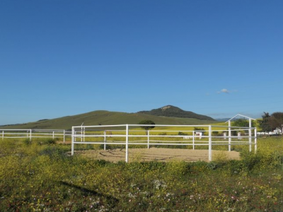 Alcala De Los Gazules property: Cadiz property | 4 bedroom Farmhouse 277307