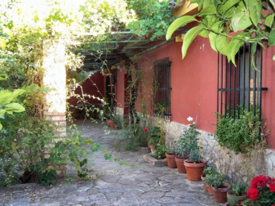 Alcala De Los Gazules property:  Farmhouse in Cadiz 277307