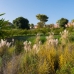 Estepona property: Malaga Villa, Spain 277580