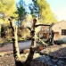 Parcent property: 3 bedroom Villa in Parcent, Spain 277633