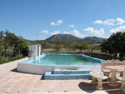 Sax property: Villa for sale in Sax, Alicante 277753