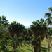 Marbella property: Malaga, Spain Apartment 278054