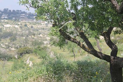 Benissa property: Villa for sale in Benissa 278087