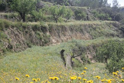 Benissa property: Villa for sale in Benissa, Spain 278087