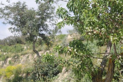 Benissa property: Villa with bedroom in Benissa 278087