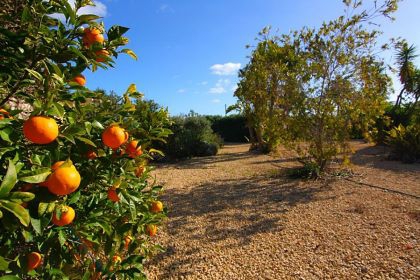 town&nbsp;Villa&nbsp;278103