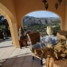 Lliber&nbsp;property:&nbsp;4&nbsp;bedroom&nbsp;Villa&nbsp;in&nbsp;Alicante&nbsp;278158