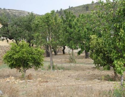 Lliber&nbsp;property:&nbsp;Alicante&nbsp;property&nbsp;|&nbsp;4&nbsp;bedroom&nbsp;Villa&nbsp;278176