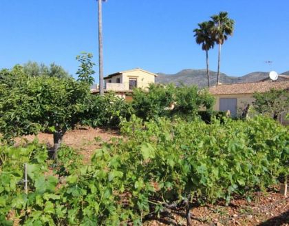 Villa with 5 bedroom in town 278234