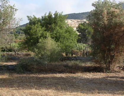 Villa for sale in town, Spain 278242