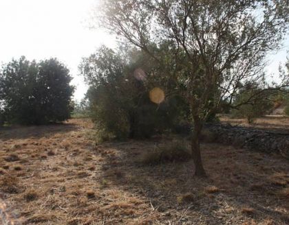 Alicante property | bedroom Villa 278242