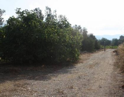 town, Spain | Villa for sale 278242