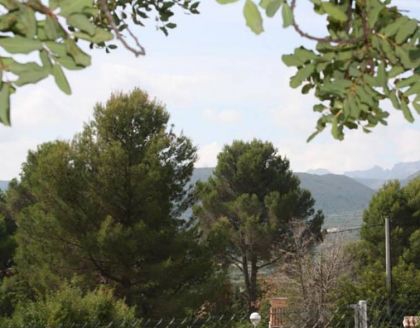 Alcalali property: Villa for sale in Alcalali, Alicante 278251