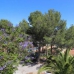 Alcalali property: Villa in Alcalali 278280