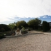 Elche property: Alicante Villa, Spain 278429