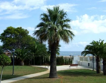 Denia property: Apartment for sale in Denia, Spain 279018