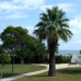 Denia property: Denia, Spain Apartment 279018