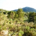 Finestrat property: Beautiful Villa to rent in Alicante 279085