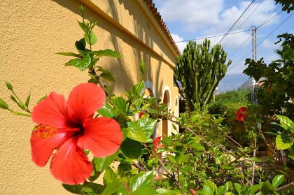 Albir property: Villa with 4 bedroom in Albir, Spain 279102