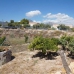 Alicante, Spain Villa 279246