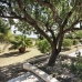 Villa in town 279264