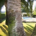 Altea property: 4 bedroom Villa in Altea, Spain 279542
