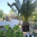 Villa in town 279662