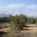 Albir property: Villa in Alicante 279663