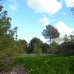 Albir property: Albir, Spain Villa 279772