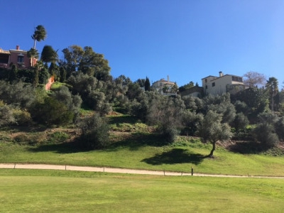 Land for sale in town 279960