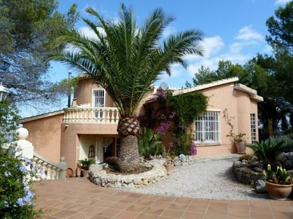 Benidoleig property: Villa for sale in Benidoleig 279992